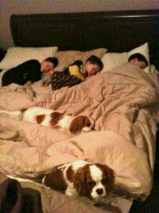 kids and dogs asleep