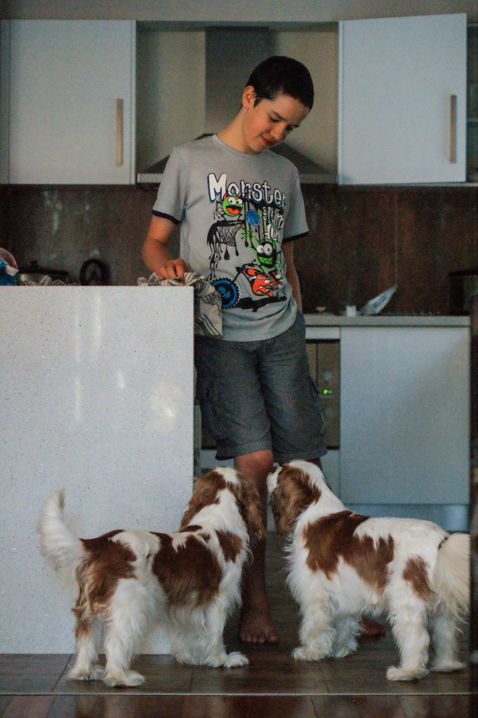 boy doing chores