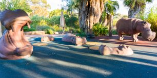 Werribee Open Range Zoo